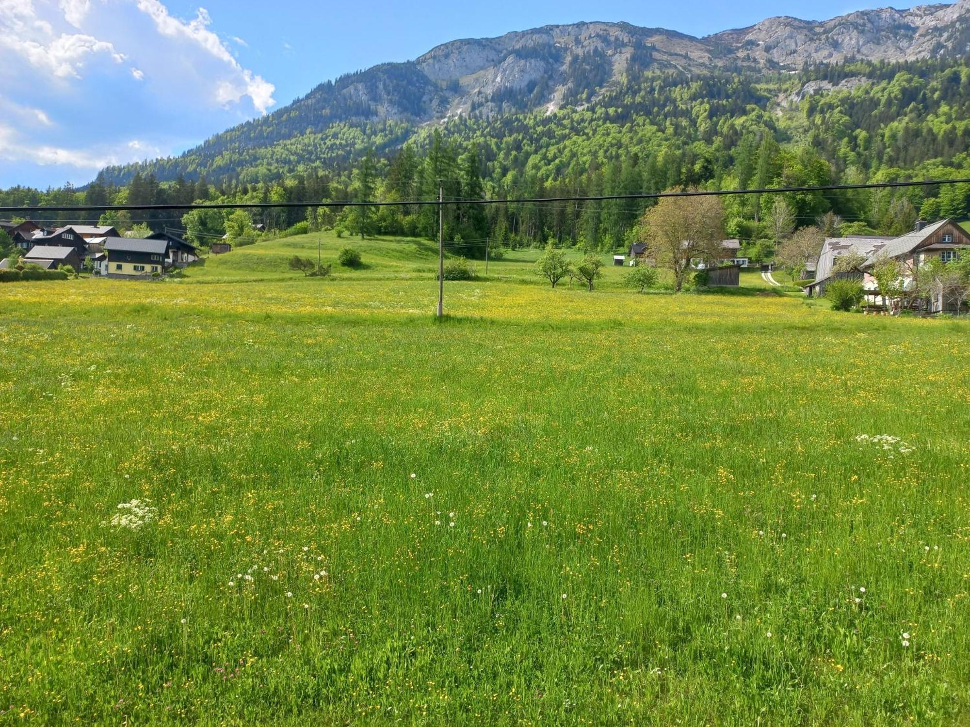 Appartements Direkt Am See Grundlsee Exteriör bild